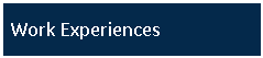 Text Box: Work Experiences
