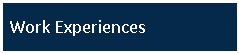 Text Box: Work Experiences