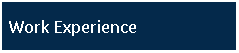 Text Box: Work Experience