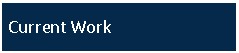 Text Box: Current Work